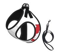 Italian Flag Map Print Dog Harness Small Sized And Leash Set, Step In Soft Light Puppy Vest Breathable Mesh Pet Harness