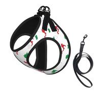 Italian Flag Map Print Dog Harness with Leash Set with Thickened Padded Vest for Extra-Small/Small Medium Dogs