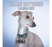 Italian Greyhound Calendar 2026: 12 Months Organizer From January to December
