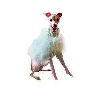 Italian Greyhound Clothes Knitted Feather Dog Pullover Sweater