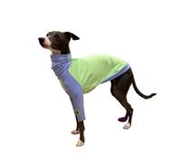 Italian Greyhound Clothes Lightweight Whippet Pullover Shirt
