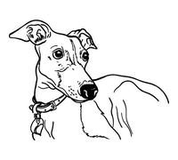 'Italian Greyhound Dog' Rubber Stamp - Unmounted Design for Crafting & Scrapbooking, A7 (RS00011043)