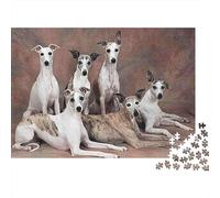 Italian Greyhound Group 1000 Piece Jigsaw Puzzles Whippet Dogs Group Portrait for Adult Educational Game Home Decoration Difficult Challenging Male And Female Birthday 52x38cm/1000pcs Gifts