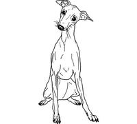 'Italian Greyhound' Rubber Stamp - Unmounted Design for Crafting & Scrapbooking, A7 (RS00037692)