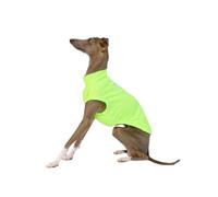 Italian Greyhound Sleeveless Clothes Dog Summer Cool Mesh Vest