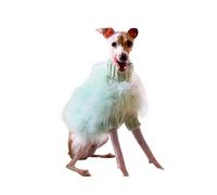 Italian Greyhound Sweater Knitted Feather Warm Turtleneck Dog Clothes