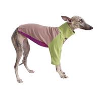 Italian Greyhound Whippet T-Shirt Jumper,Dog Tri-Color Sweatshirt Sighthounds Autumn Winter Spring Coat Skinny Dog Pullover Pajamas_2XL(Green Pink)