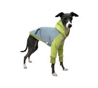 Italian Greyhound Winter Hoodie Coat Blue & Green Color-Blocked Whippet Dog Sweatshirt Two-Leg Long Sleeve Bedlington Terrier Jumpsuit(5)