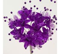 Italian Options Babies Breath 2.5cm Small Artificial Pearl Flowers Purple (72 Pack)
