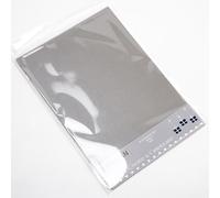 Italian Options Double-Sided Pearlescent Card Craft Paper, Pearlised, 300gsm Card Stock for Electronic Die-Cutter Machines, Craft Supplies, 10 Pearl-Coloured Cardstock Sheets, A4, 300gsm, Silver