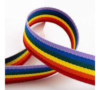 Rainbow Ribbon 25mm x 10 Metres