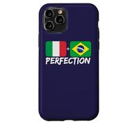 Italian Plus Brazilian Perfection Heritage Flag Case for iPhone 11 Pro