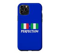 Italian Plus Nigerian Perfection Mix Heritage Flag Case for iPhone 11 Pro