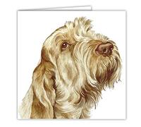 Italian Spinone Dog Art Card/Greetings Card (AC-77)