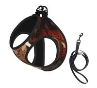 Italian Street Print Small Dog Harness with Leash Set, No Escape Easy Walk Puppy Harnesses for Training Walking