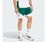 Italy 26 Tiro Training Shorts