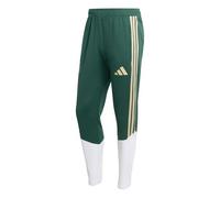 Adidas Italy 26/27 Tiro Training Tracksuit Pants Green M / Regular Men