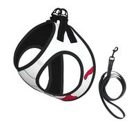Italy Map With Colors Print Small Dog Harness And Leash Set, Adjustable Soft Vest With 360° Reflective Straps For Cats Puppy