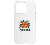 Italy Sardinia Souvenir/Sardegna/Sardinia Case for iPhone 15 Pro Max