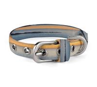 Italy Sea at Sunset Dog Collar Classic Adjustable Pet Collar Soft and Fancy,Dog Collars Easy Clean and Comfortable for Small Medium Dogs Pet Supplies Accessories