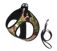 Italy Tuscan Print Harness Leash Set For Cats And Dogs, Reflective Adjustable, Soft Breathable Mesh Vest With Escape-Proof Lead, For Small Pets And Kitten Puppies