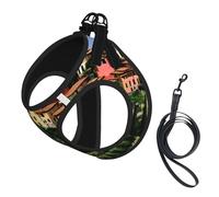Italy-Tuscan Print Pet Leash Vest,Breathable Mesh Pet Harness, Reflective For Small Medium Dogs Safe Easy Walking