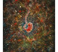 Iterum Nata - Trench of Loneliness [VINYL]