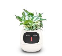 Itigoitie Smart Flower Pots, AI Planter, Multiple Expressions, 7 Smart Sensors and Ai Chips Make it Easy to Grow Plants, Fun for Living Room, Bedside Table, Desk, No Plant, White