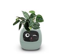 Itigoitie Smart Flowerpots,Smart Pet Planter,Ai Planter,Intelligent Flowerpots,Multiple Expressions,7 Smart Sensors, and Ai Chips Make Raising Plants Easy and Fun for Living Room,Plant-Free(Green)