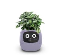 Itigoitie Smart Flowerpots,Smart Pet Planter,Ai Planter,Intelligent Flowerpots,Multiple Expressions,7 Smart Sensors, and Ai Chips Make Raising Plants Easy and Fun for Living Room,Plant-Free(Purple)