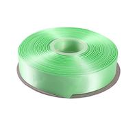 ITIsparkle 1" Inch Double Faced Satin Ribbon 50 Yards-Roll Set for Gift Wrapping Scrap Books Party Favor Hair Braids Baby Shower Decoration Floral Arrangement Craft Supplies, Aqua Ribbon