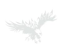 Itonash Eagles Car Decal Stylish Decorative Graphic Sticker Universal Auto Body Hood Decal Auto Accessories (White)