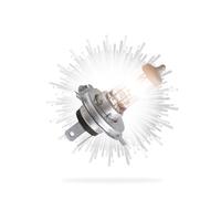 Itonash H1 Headlight Bulb Automotive Headlight Bulb Car Lamp 12V 55W Halogen High Low Beam Wide Angle Long Range Vibration Resistance with Easy Installation for Car Ligh