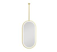 ITOSUI Ceiling-Suspended LED Bathroom Mirror with Illumination | Wall-Mounted Makeup with Adjustable Lighting | Suitable for Entryways and Cloakrooms(Gold,50x90cm)