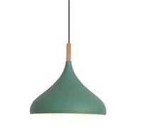 ITOSUI Creative Colorful Wood Metal Pendant Light, Nordic Modern Hanging Light Fixture, Single Rustic Farmhouse Pendant Lamp, Simple Retro Pendant Light for Kitchen Island Dining Table(Green,12.5in)