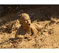 Its a Dirty Job but someone's go to Wipeout