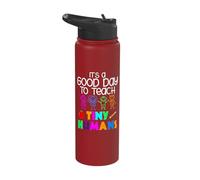 It's A Good Day to Teach Tiny Humans Kindergarten Teacher Stainless Steel Insulated Water Bottle