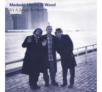 It's a Jungle in Here by John Medeski (1993-10-19)