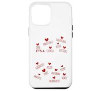 It's a K-Drama Thing | Korean Words Case for iPhone 12 Pro Max