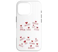 It's a K-Drama Thing | Korean Words Case for iPhone 16 Pro