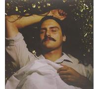 Michael Rault - It's A New Day Tonight [VINYL]