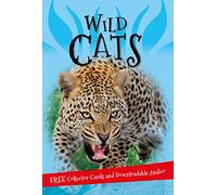 It's all about... Wild Cats