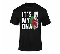 Its in My DNA Welsh Flag T Shirt - Proud to Be Welsh T-Shirt for Kids & Adults, Cymru Dragon Thumbmark Tee, Welsh Roots Football Gift Black X-Large