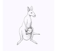 It's In There Somewhere by David Thomas Broughton