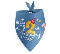 It's My 2nd Birthday Dog Bandana Funny Happy 2nd Birthday Gift for Large Medium Small Cats Dogs Boy Girl Two Years Old Party Photo Prop Accessories Christmas Puppy Gifts