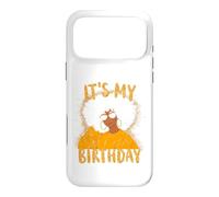 It's My Birthday African American Afro Girl Black Women Case for iPhone 17 Pro Max