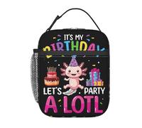 It's My Birthday Let's Party Axolotls Lunch Bag Portable Insulated Large Capacity Lunch Box Zipper External Net Pocket