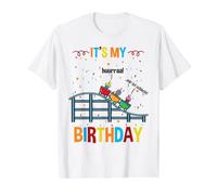 Its My Birthday Roller Coaster Theme Park Value Graphic T-Shirt, Men, White, M