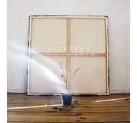 It's Never Going To Happen And This Is Why [VINYL]