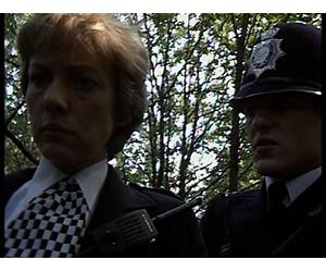 It's Not Such a Bad Job After All